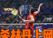 开云体育app-日本羽毛球队翻盘印尼羽毛球队，林丹完成帽子戏法的简单介绍