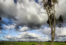 开云体育在线-奇才粉碎北京队，杜兰特成为关键先生