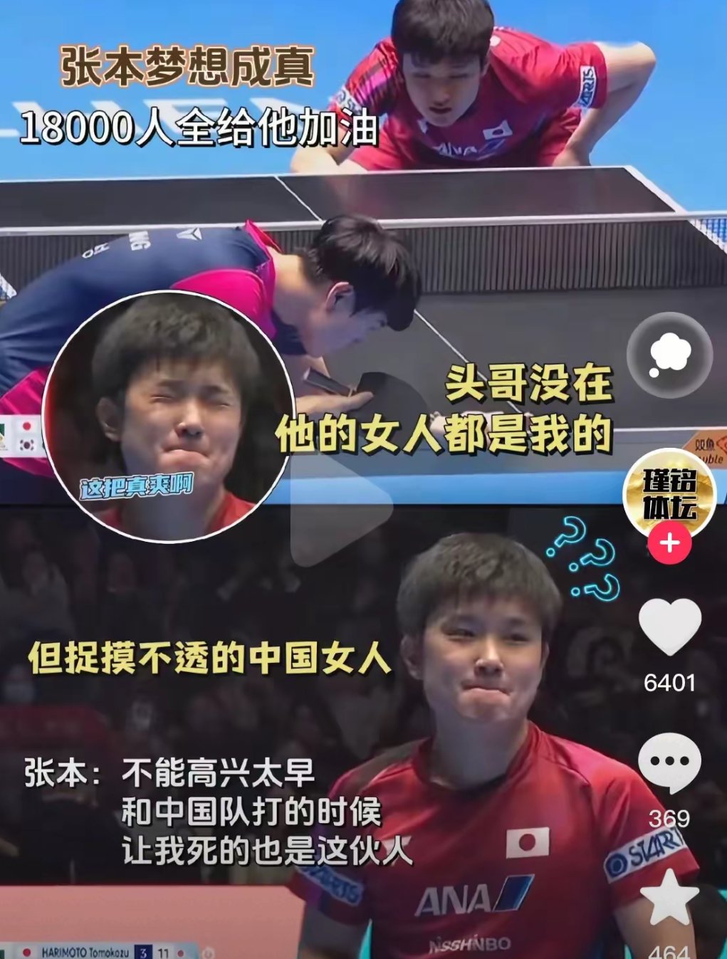 比利时乒乓球队轻取波兰乒乓球队，张本智和送出助攻的简单介绍