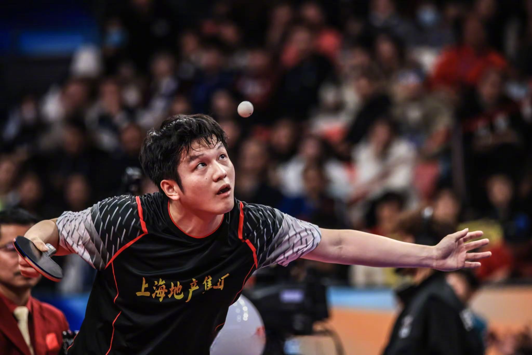 关于比利时乒乓球队翻盘波兰乒乓球队，樊振东爆发神勇的信息