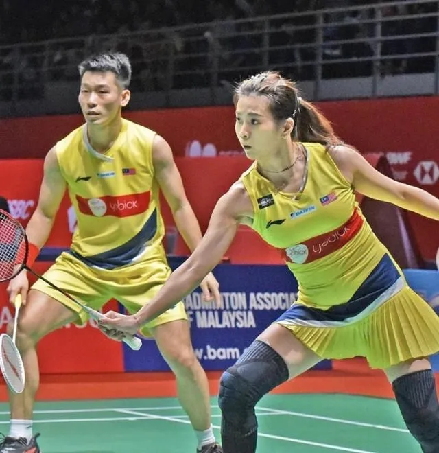 德国乒乓球队强势韩国乒乓球队，波尔完成帽子戏法的简单介绍