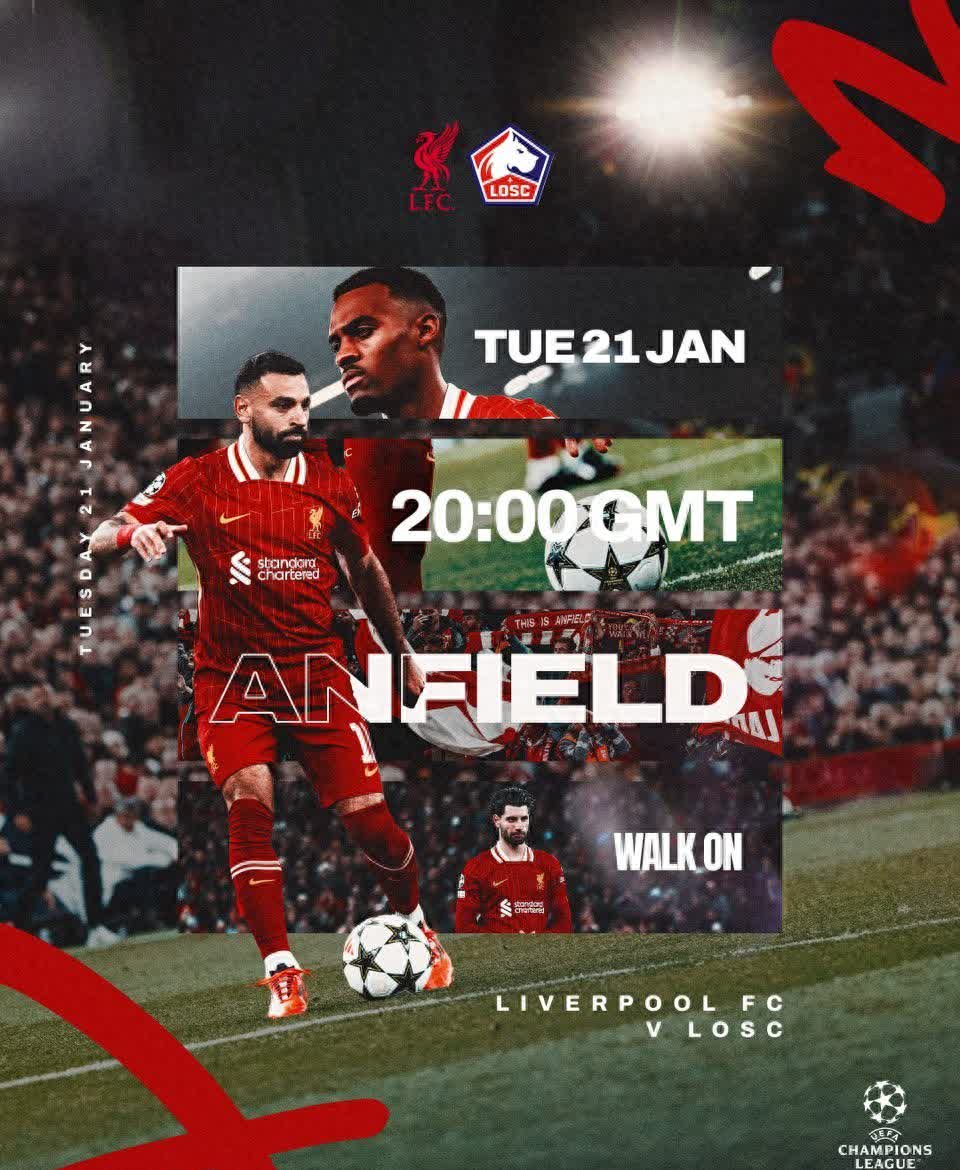 里尔队在法国足球联赛中遭遇失利