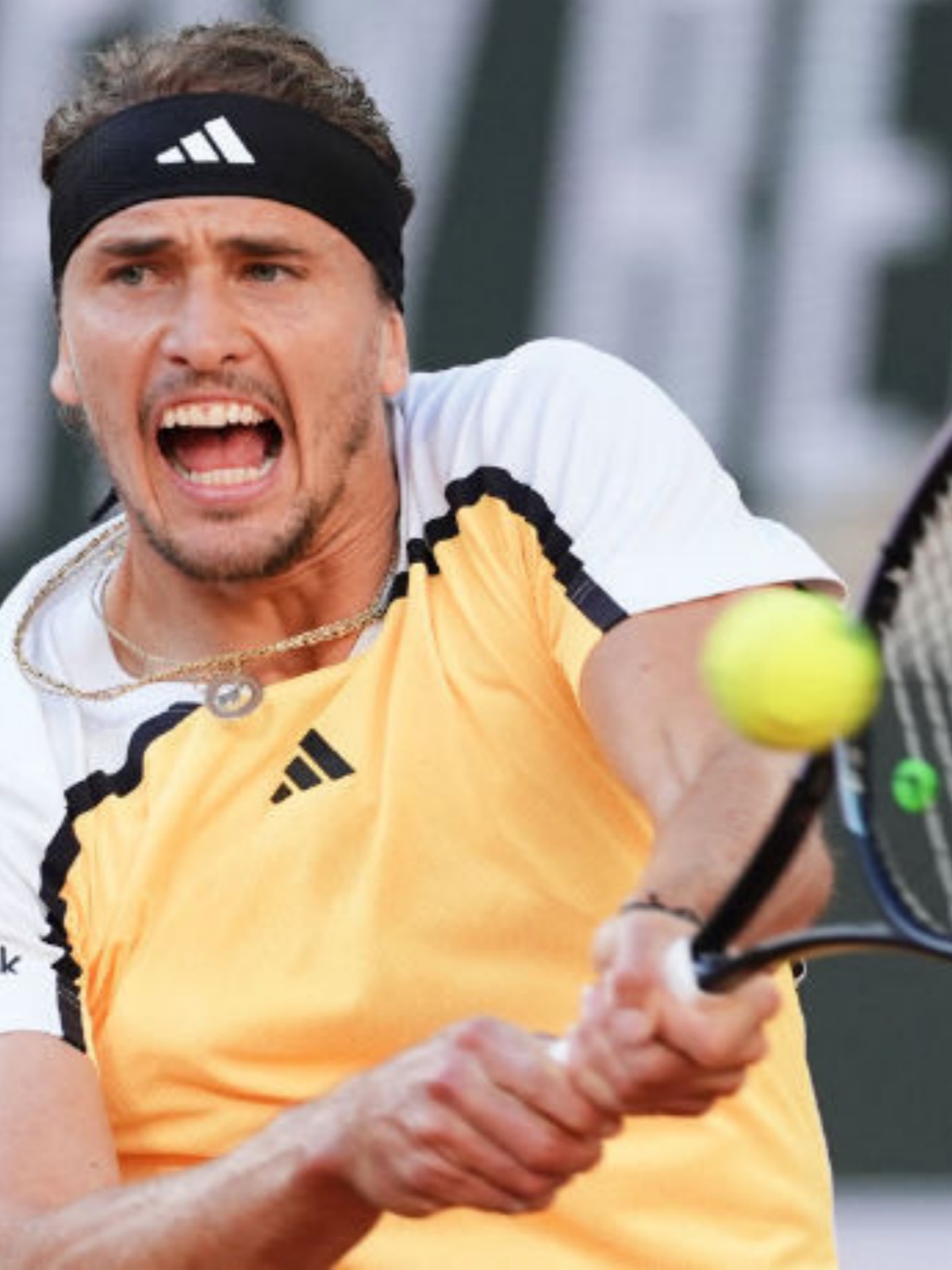 包含法网完胜温网，兹维列夫状态火热的词条