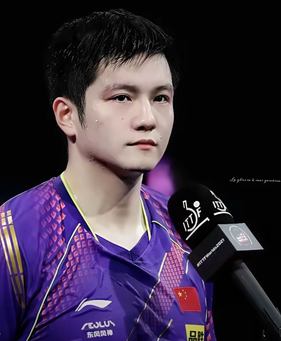 包含德国队鏖战奥地利队，樊振东惊艳四座的词条