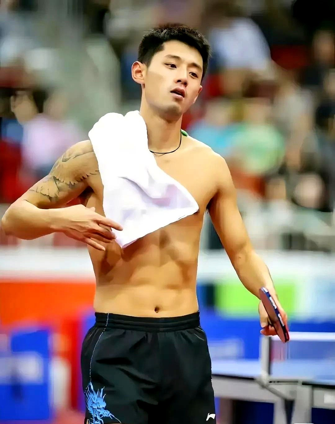 关于奥地利队横扫瑞典队，张继科刷新纪录的信息